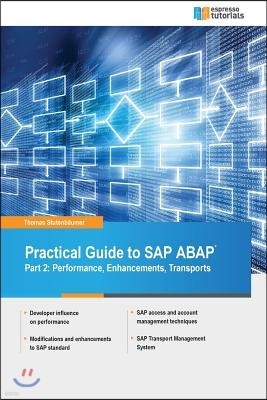 Practical Guide to SAP ABAP: Part 2: Performance, Enhancements, Transports