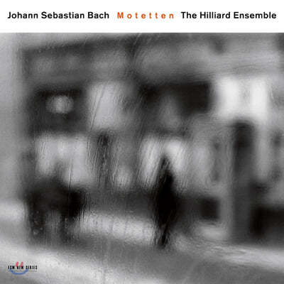 Hilliard Ensemble : Ʈ (Bach : Motetten) 