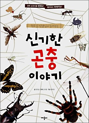 신기한 곤충 이야기