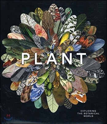 Plant: Exploring the Botanical World