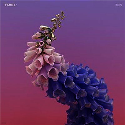 Flume — Skin 앨범 커버