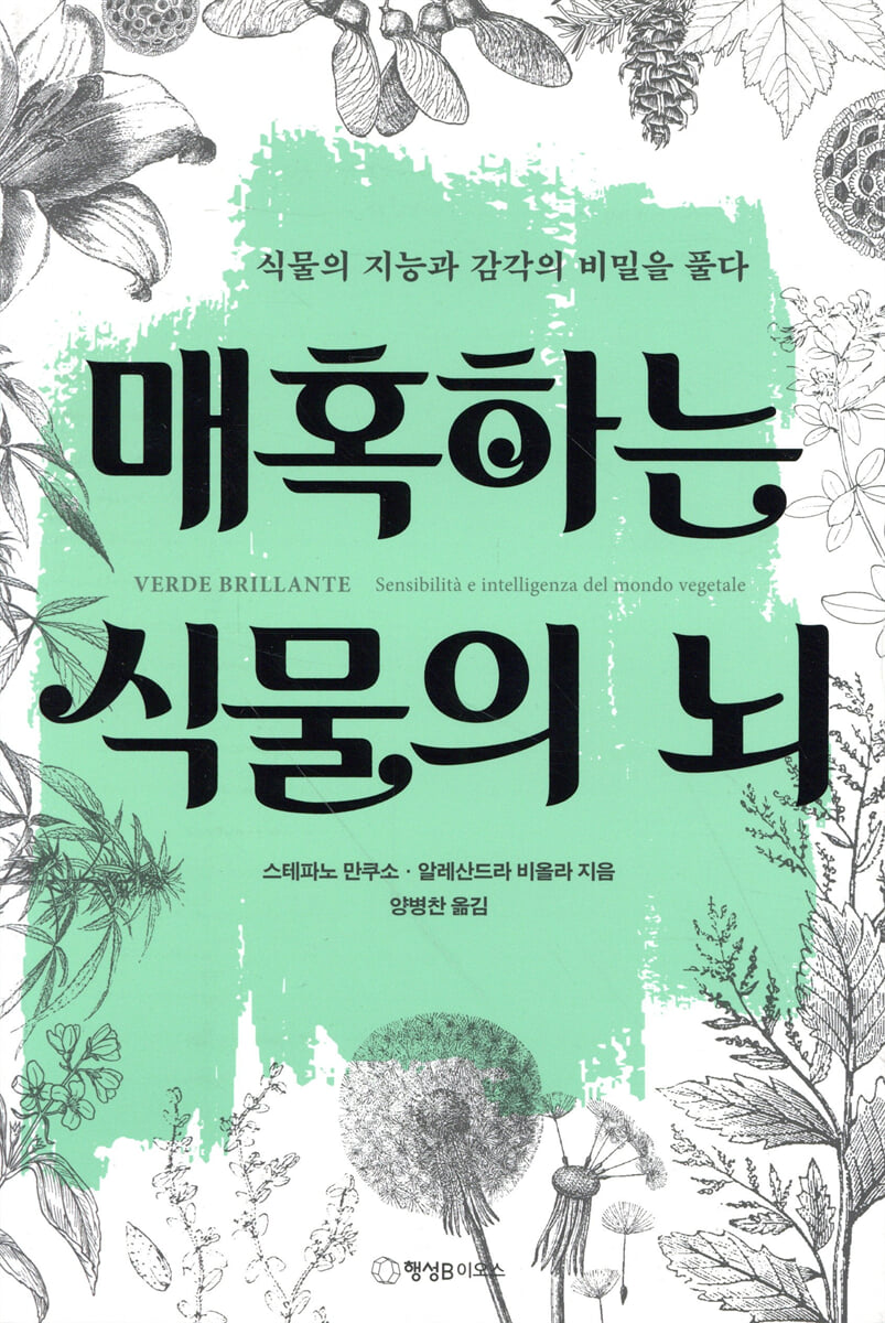 매혹하는 식물의 뇌