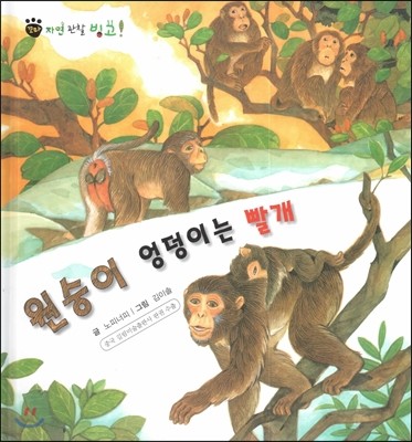 꼬마 자연관찰 빙고! 11 원숭이 엉덩이는 빨개 