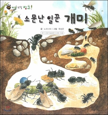 꼬마 자연관찰 빙고! 38 소문난 일꾼 개미