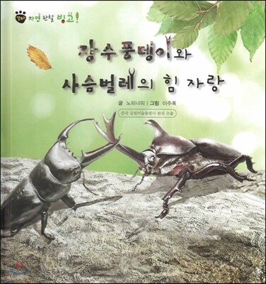 꼬마 자연관찰 빙고! 46 장수풍뎅이와 사슴벌레의 힘 자랑