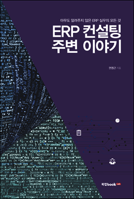 ERP 컨설팅 주변 이야기