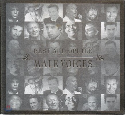베스트 오디오파일 남성 보이시스 (Best Audiophile Male Voices)