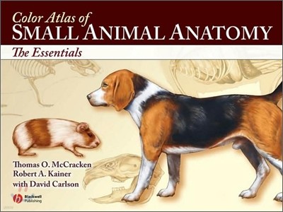 Color Atlas of Small Animal Anatomy