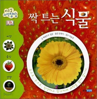 싹 트는 식물