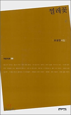 찔레꽃