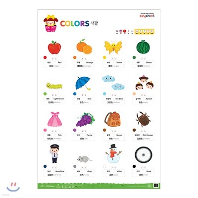 NEW 세이차트 알록달록 색깔(말하는 벽그림)