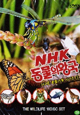 NHK 동물의 왕국 : 지구촌 동물가족 시리즈 3 (10DIsc)