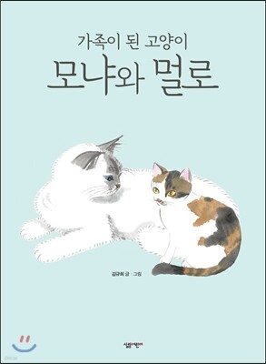 책 정보
