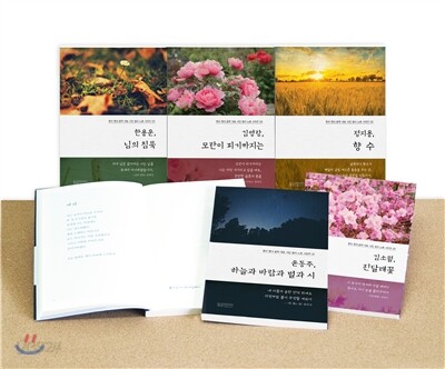 한국 현대 문학 대표 시인 세트