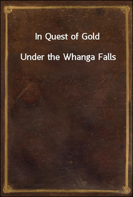 In Quest of Gold
Under the Whanga Falls