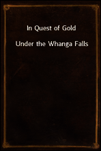 In Quest of Gold
Under the Whanga Falls