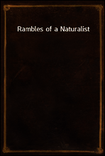 Rambles of a Naturalist