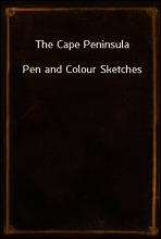 The Cape Peninsula
Pen and Colour Sketches