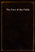 The Face of the Fields