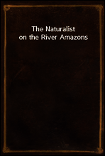 The Naturalist on the River Amazons