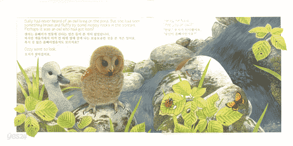 An Adventure with OZZY OWL