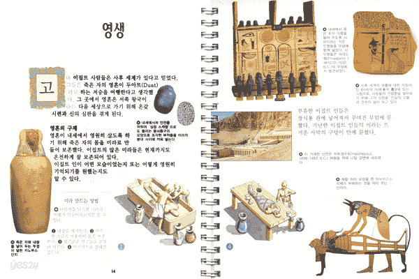 파라오와 미라
