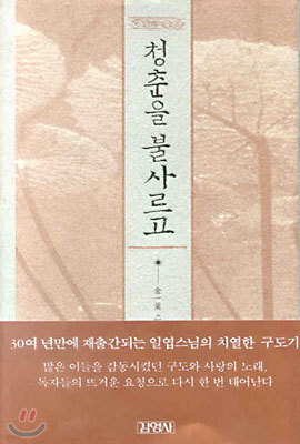 청춘을 불사르고