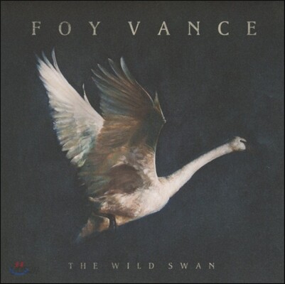 Foy Vance (포이 반스) - The Wild Swan