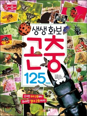 생생 화보 곤충 125가지