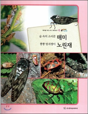 올빼미 자연관찰 09 숲 속의 소리꾼 매미 뿡뿡 방귀쟁이 노린재 (곤충류) 