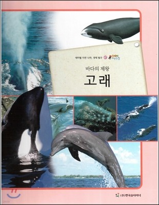 올빼미 자연관찰 47 바다의 제왕 고래 (포유류) 