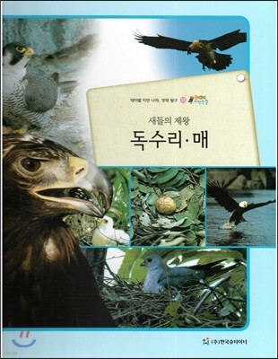 올빼미 자연관찰 53 새들의 제왕 독수리, 매 (조류) 