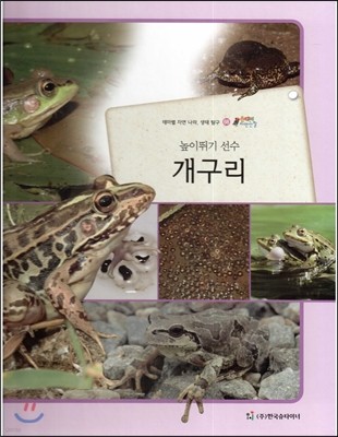 올빼미 자연관찰 68 높이뛰기 선수 개구리 (양서류) 
