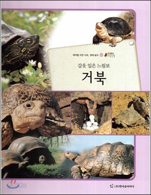 올빼미 자연관찰 69 갑옷 입은 느림보 거북 (양서류류)