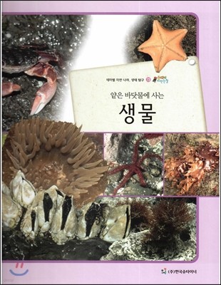 올빼미 자연관찰 73 얕은 바닷물에 사는 생물 (갑각류, 연체동물) 