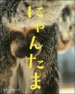 にゃんたま