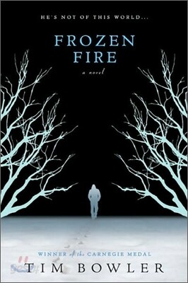 Frozen Fire