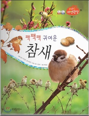 꿈틀꿈틀 자연관찰 31 짹짹짹 귀여운 참새 (조류) 