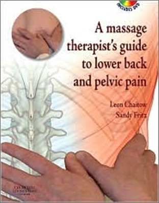 A Massage Therapist's Guide to Lower Back and Pelvic Pain