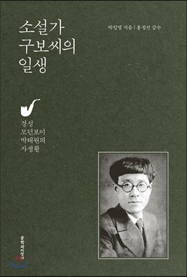 소설가 구보씨의 일생 표지