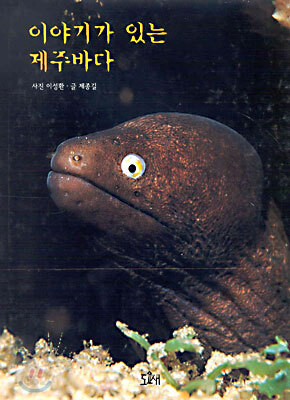 이야기가 있는 제주바다