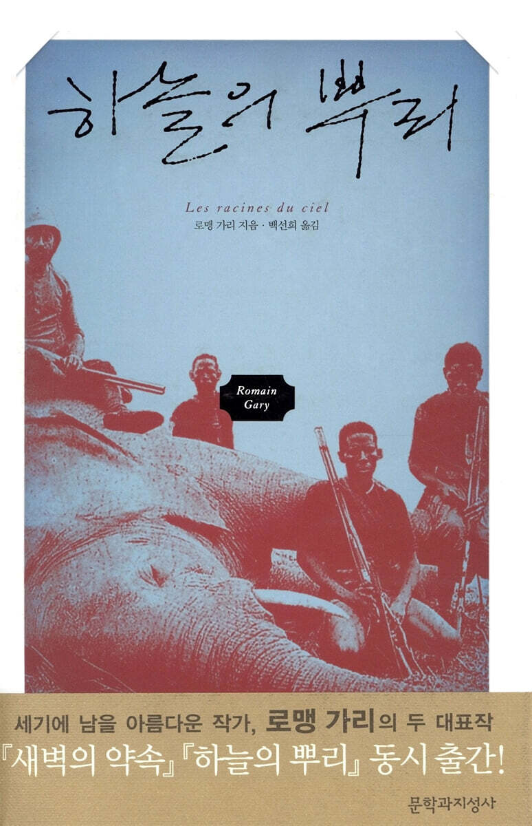 하늘의 뿌리