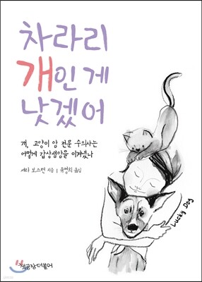 책 정보