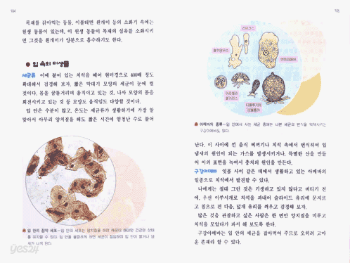 현미경 속의 작은 세계