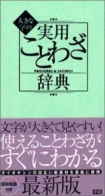 大きな字の實用ことわざ辭典