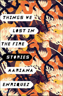 Things We Lost in the Fire: Stories