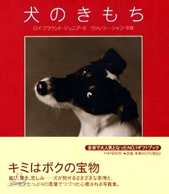 犬のきもち
