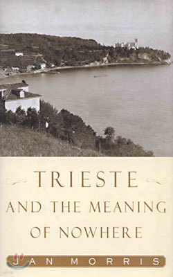 Trieste and the Meaning of Nowhere (Hardcover)