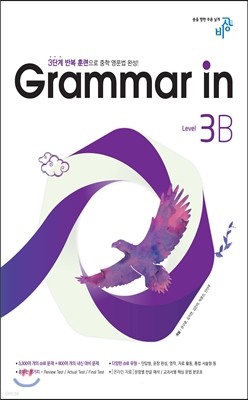 Grammar in Level 3B ׷ 