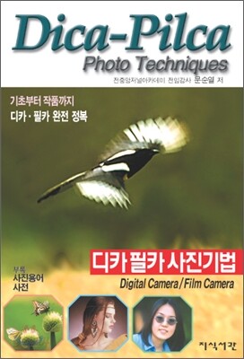 디카 필카 사진기법